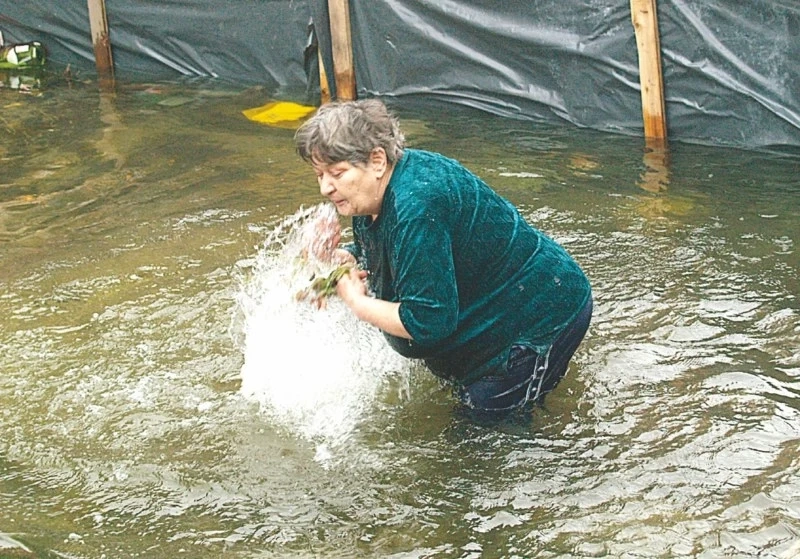 Прабаба първа скочи в ледената вода