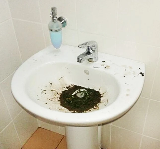 Футбол: \