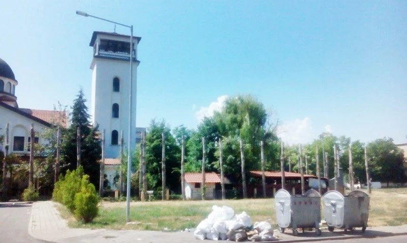 Окастриха 37 тополи, граждани се притесниха
