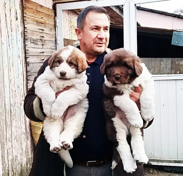 Бейби бум на наши овчарки в снега, а ние се плашим