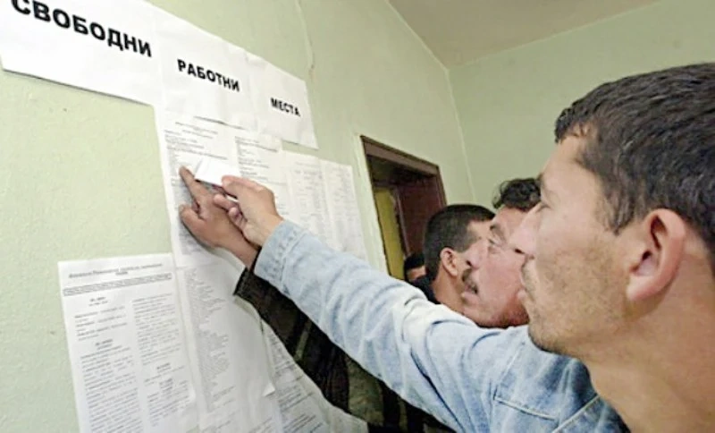 В Бюрото по труда във Велинград предлагат работа в цирк “Балкански” или на другия край на страната