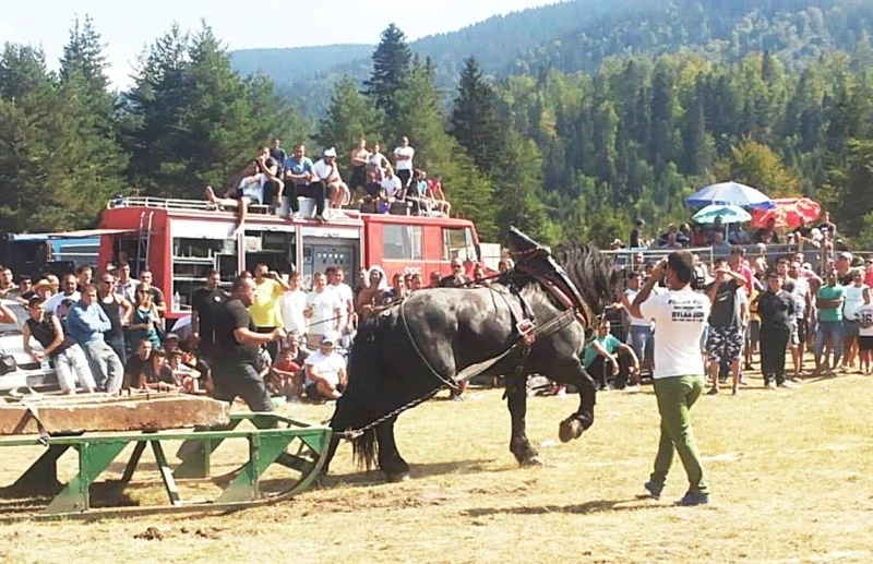 Над 100 коня в празнична кушия край Калугерово