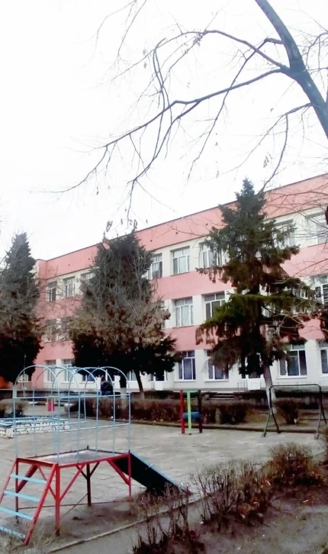 Майки се притесняват от клони в детска градина