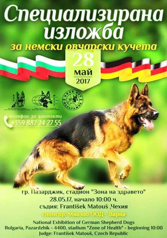Немски овчарски кучета ще демонстрират послушание и защита