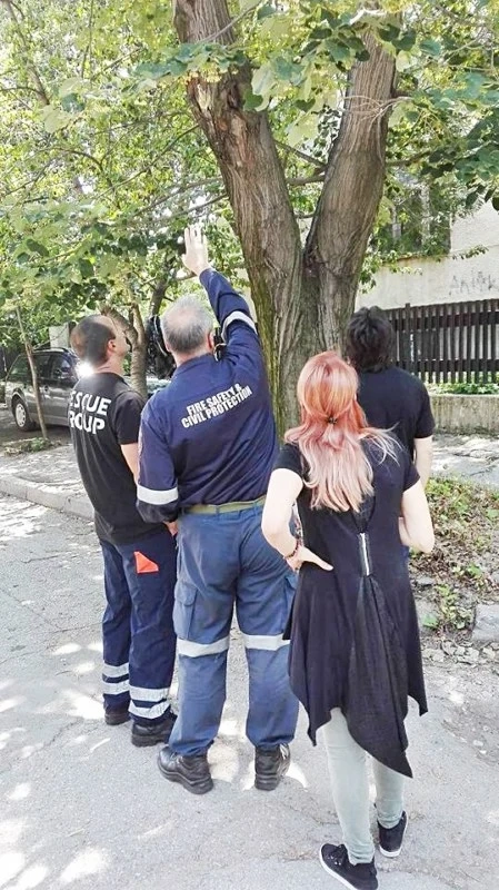Коте и пожарникари три дни се дебнаха