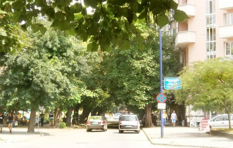 Внасят въпроса за булевард “Стамболийски” в ситипарламента