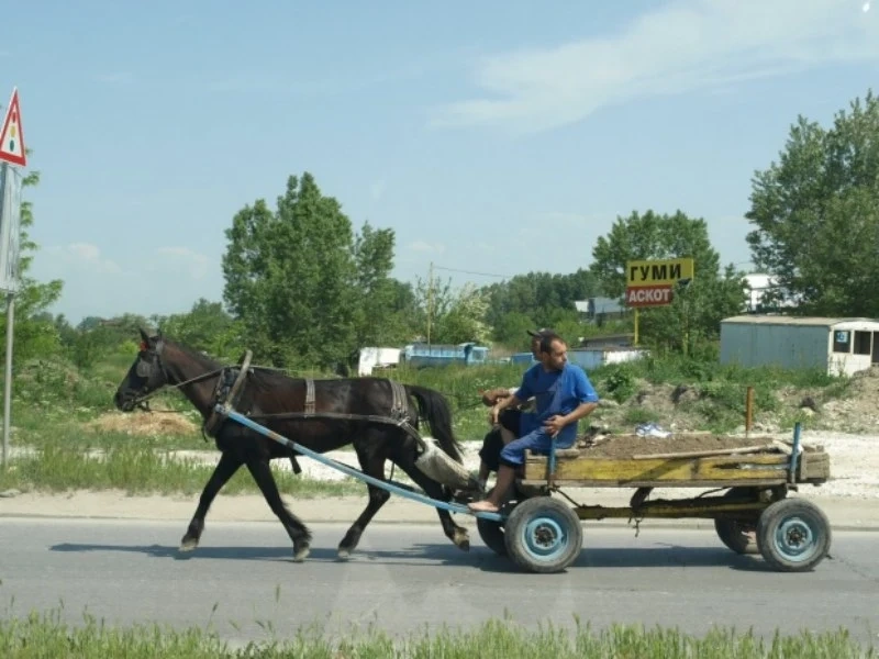 Каруца блъсна възрастна жена