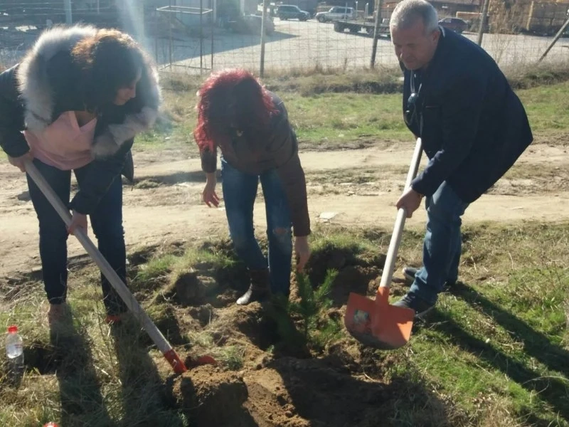 Социалисти с горичка срещу незаконната сеч и за войнишките паметници