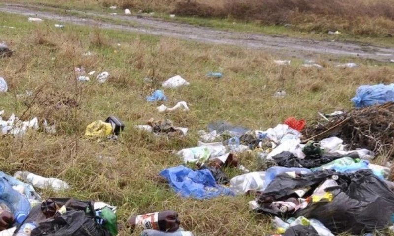 Глоби за 200 хиляди лева наложила РИОСВ