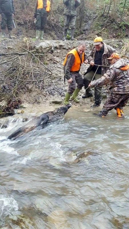 Наши ловци вече могат да ловуват и в Босна