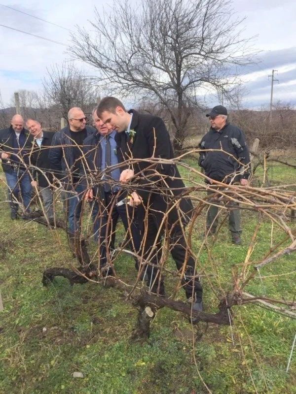 На Трифон Зарезан - пожелания за берекет, хубаво вино и добри пазари