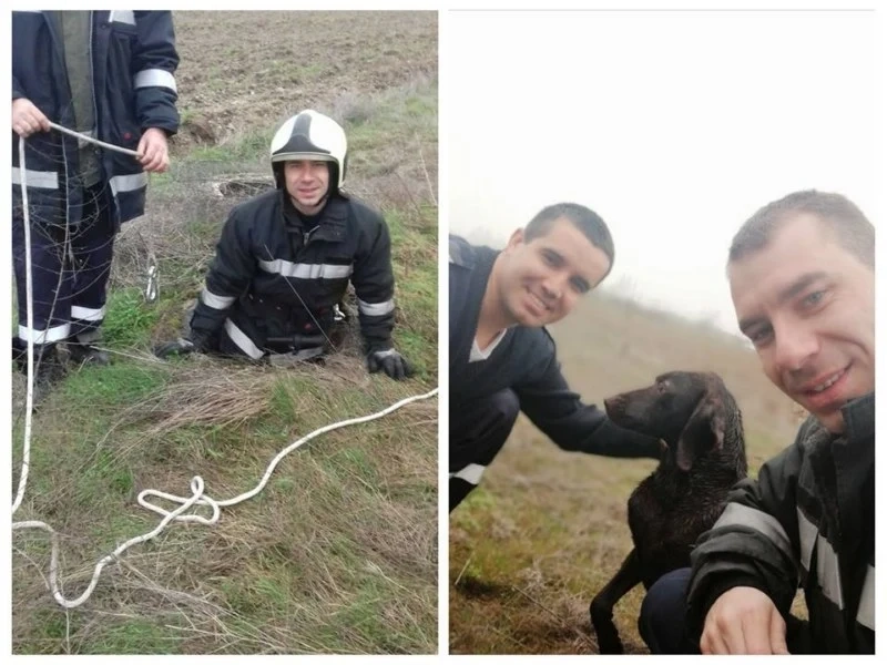 Пожарникари извадиха уплашено мокро куче от шахта