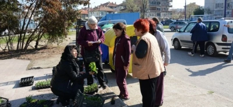 „По-чист, по-зелен и по-цветен Пазарджик” на 24 март