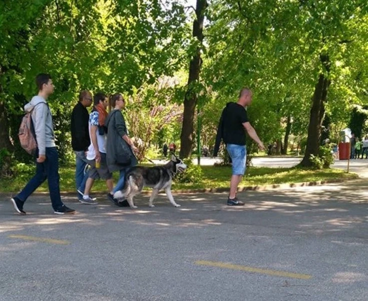 Граждани: Кучета се разхождат на Острова