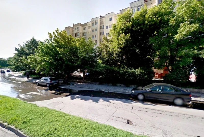Спасиха куче, гледано в автомобил в жегата