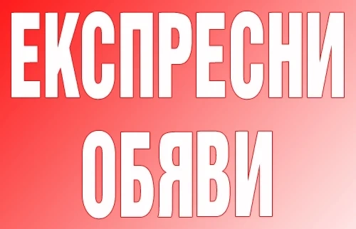 Местни избори 2019