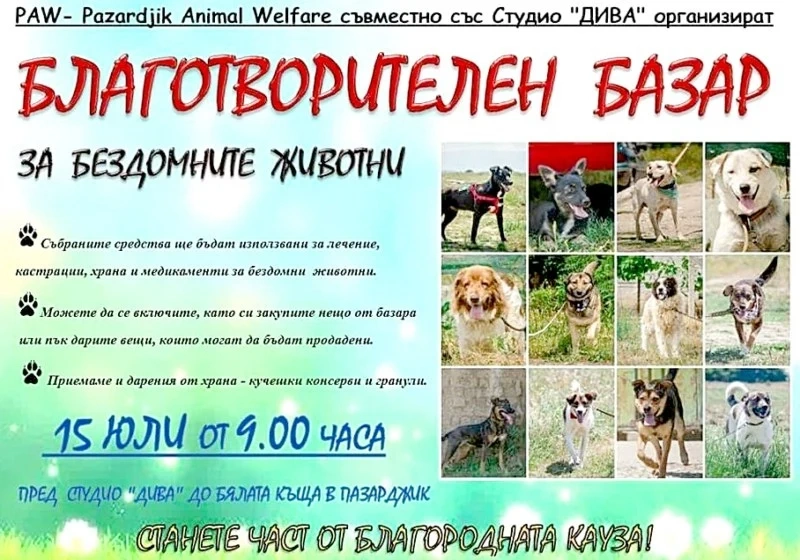 Продават благотворително за бездомни животни