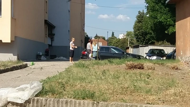 Граждани почистиха, искат повече общински косачки