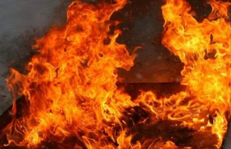 Малко конче изгоря в пожар