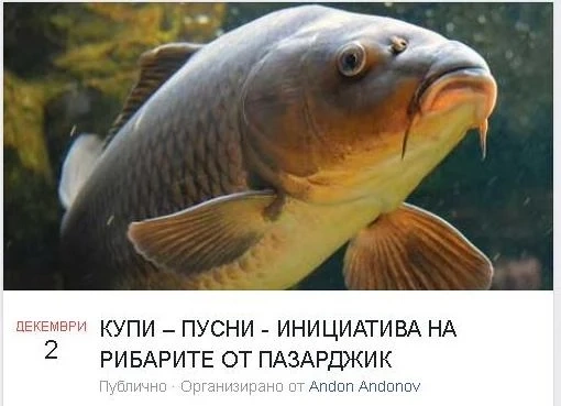 Подари живот на един шаран…
