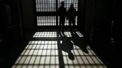 Най-много са възпитателните дела за кражби