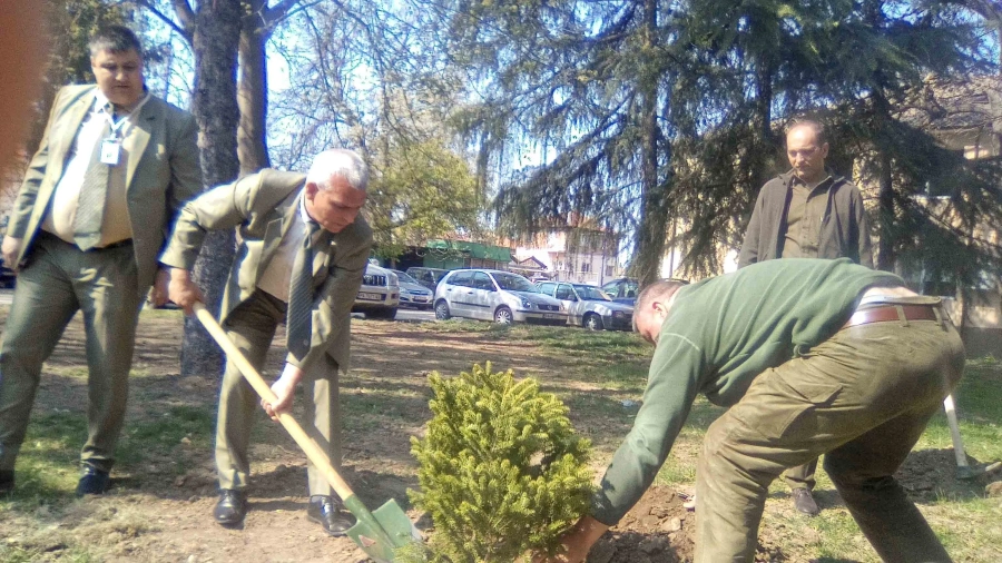 Горски и журналисти садиха дръвчета в Седмицата на гората