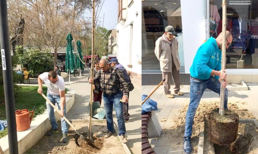 Ентусиасти направиха дървета от кашони