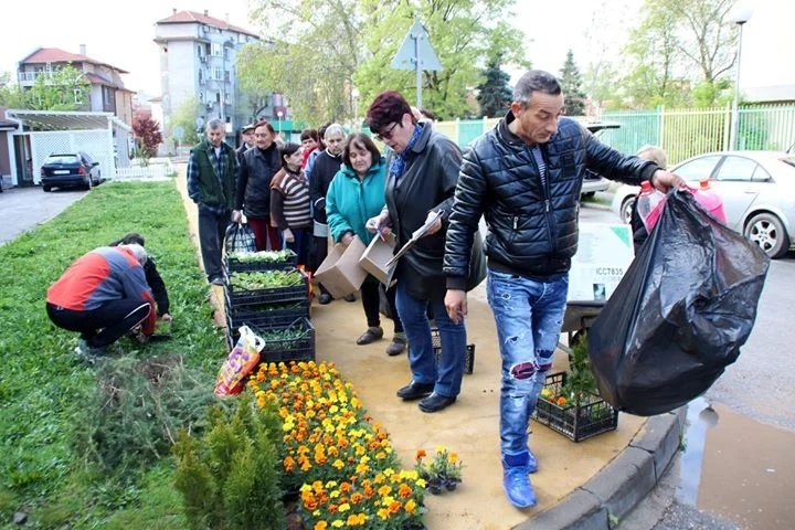 За отпадъци раздаваха цветя, храсти и дървета