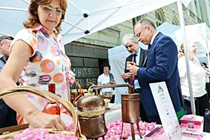 Лоша година за розите и розовото масло