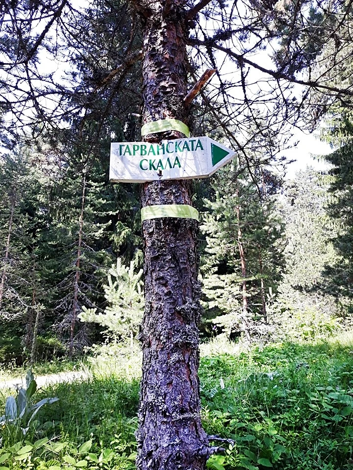 Стрелча празнува, но и очертава „мегалитните” пътеки