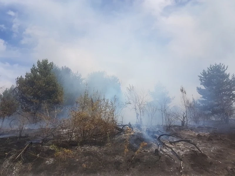И днес гори пожар в Родопа планина