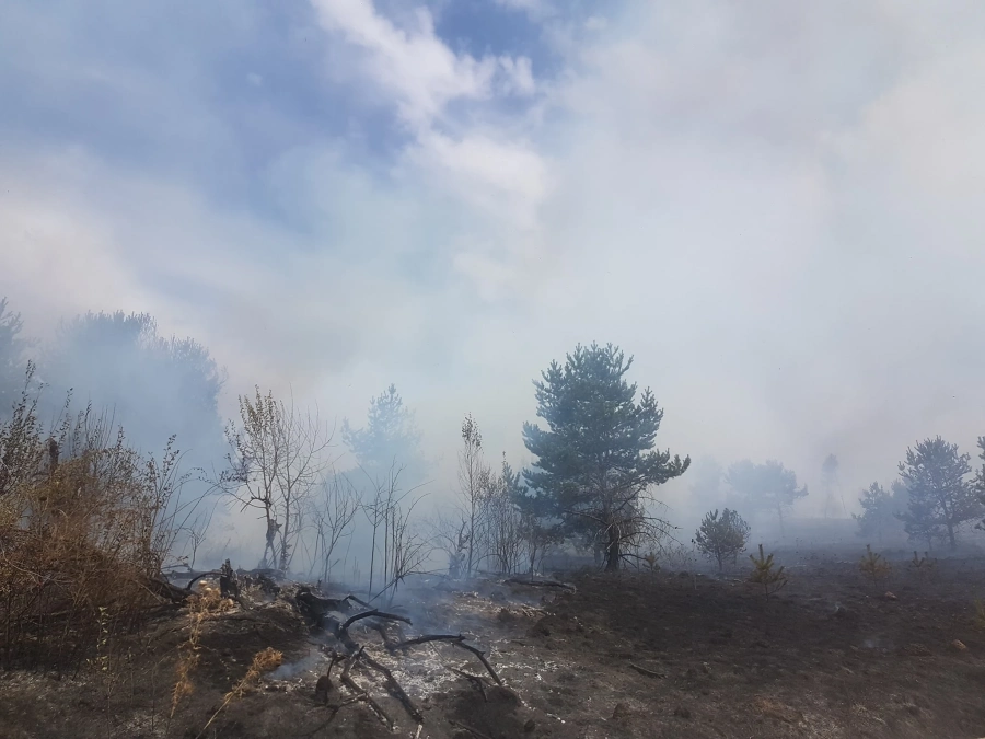 Пожарът в Родопите е потушен и с помощта на хеликоптер