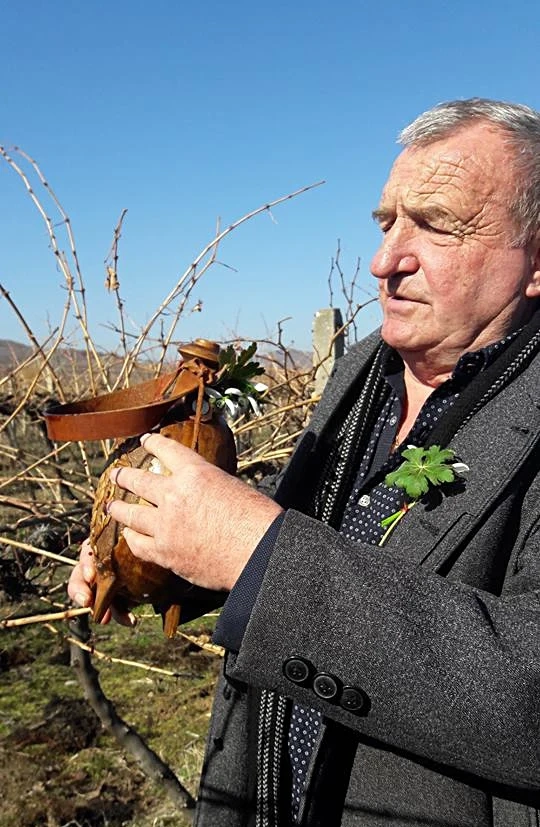 Малко грозде, но с добро качество