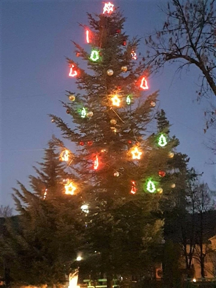 Заблестя елхата в Ракитово