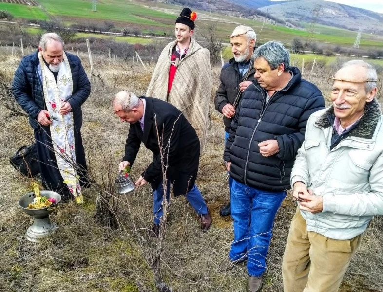 Зарязваха в Радилово, конкурс за най-добро младо вино и обреден хляб в Капитан Димитриево