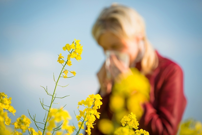 Коронавирусът отпуска хватката, сезонните алергии ни погнаха