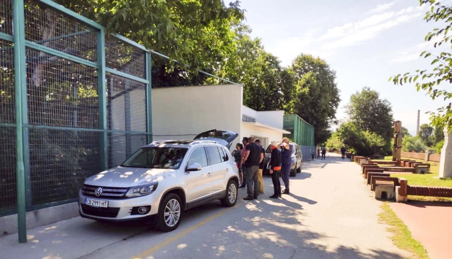 Лъвът Хектор вече е в столицата, първите изследвания са добри
