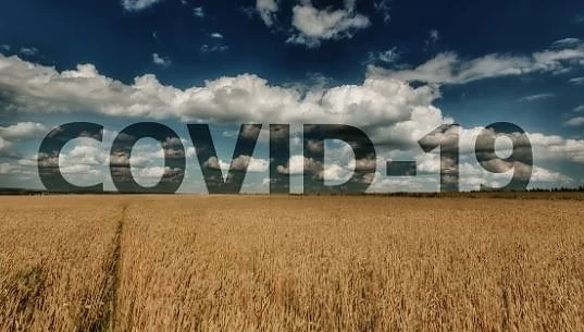 Започва прием по подмерки COVID 1 и COVID 2