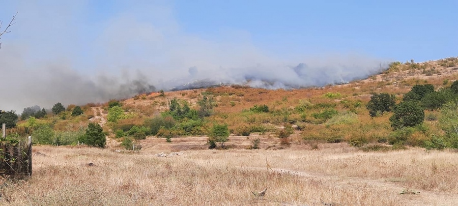 Пожарът край Карабунар е обхванал 350 дка, унищожени са 20 дка лозя
