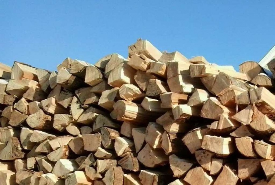 Право на отговор на ЮЦДП във връзка със стопираната продажба на дървесина в Пещера