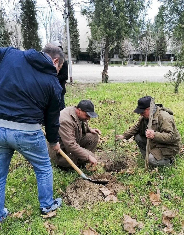 Засадиха близо 170 фиданки в Полицейското училище