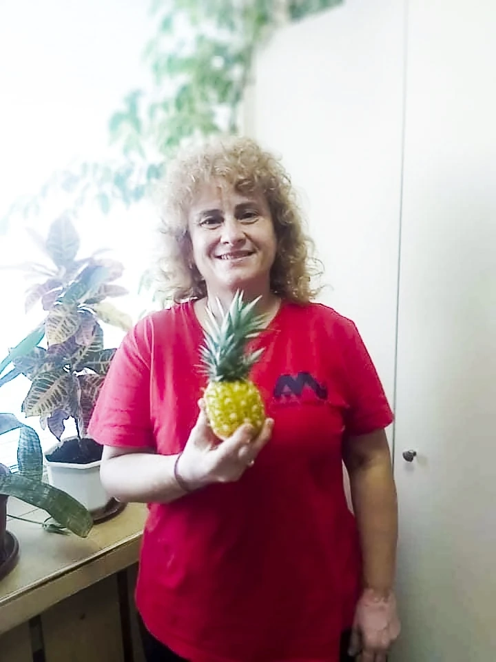 Двойна ананасова реколта в кабинета на началника на рудник \