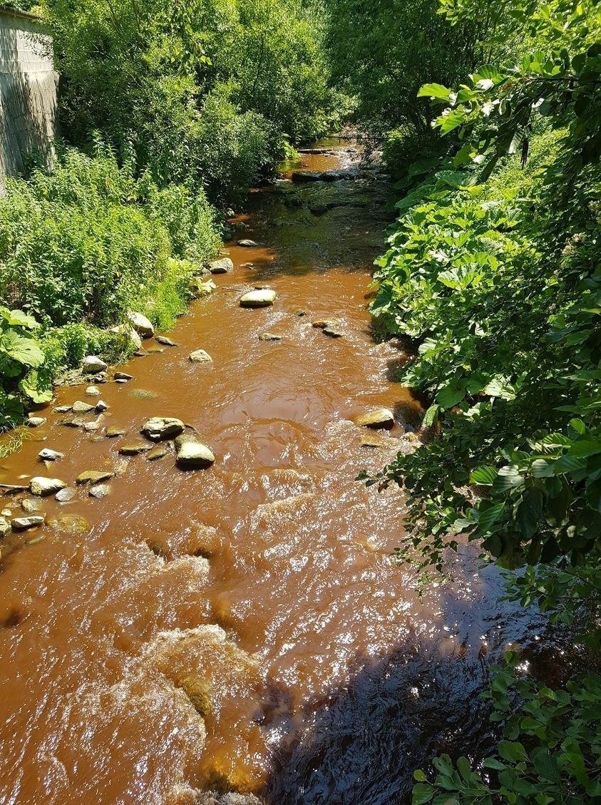 Да се ограничи ползването на Стара река заради замърсяване