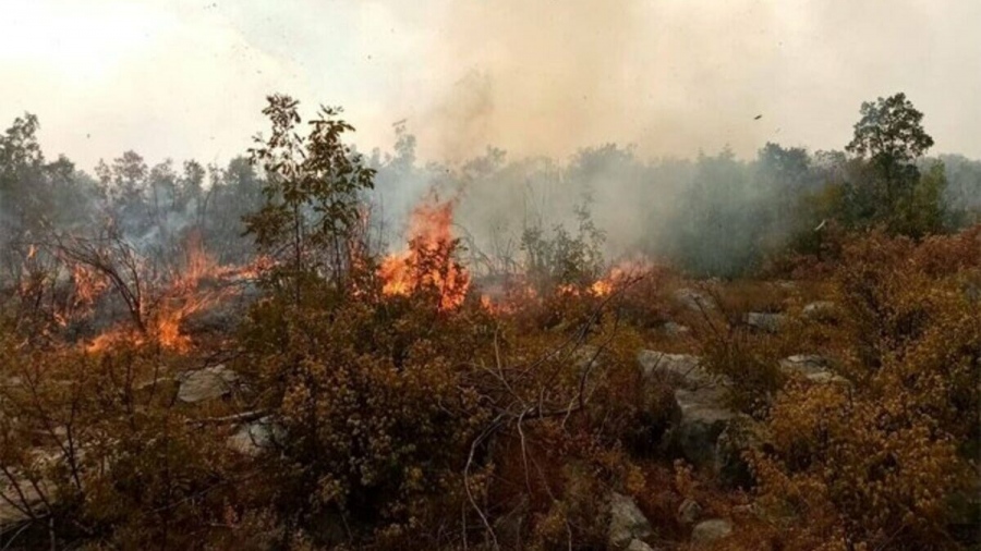 Локализиран е пожара в Долно и Горно Вършило 
