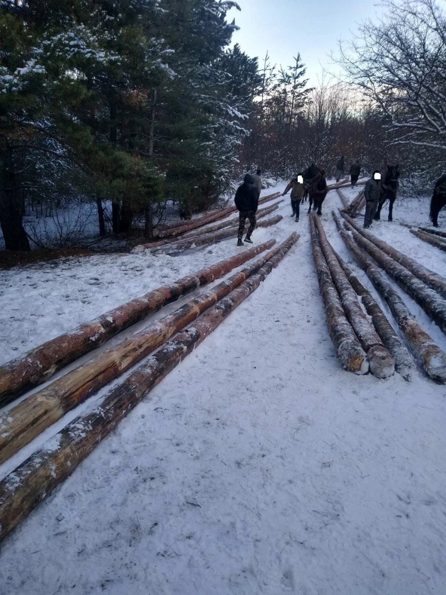 Задържаха 10 младежи с 13 кубика дърва