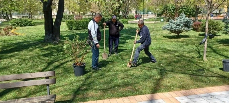 В Пещера “Биовет“ дари храсти и дървесни видове за алея в градския парк