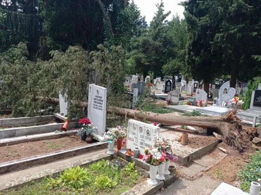 Преди Задушница незапомнена буря повали много дървета в гробището на Пещера