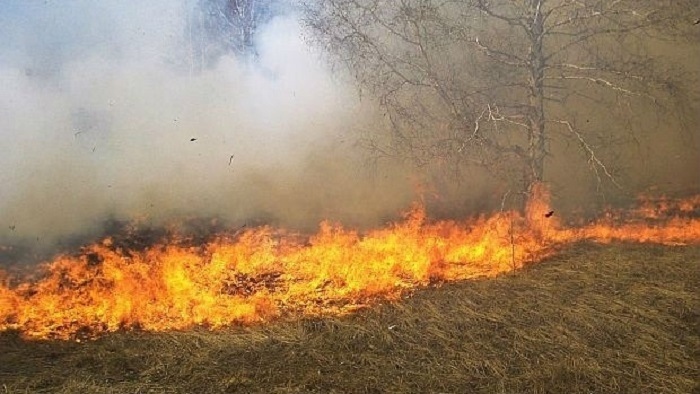 Забранява се паленето на стърнища, слогове, крайпътни ивици и сухи треви