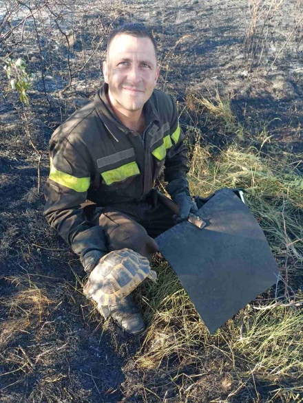 Пожар на 800 декара в землището на селата Лесичово и Боримечково