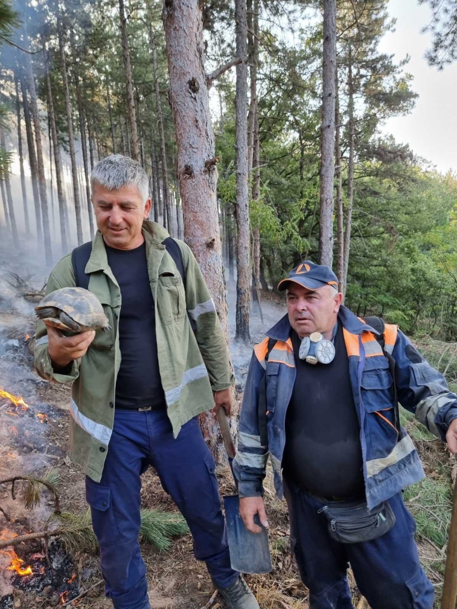 15 пожарникари и 40 горски служителя се борят с огъня между Лесичово и Калугерово